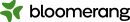Bloomerang-Logo_Horizontal_RGB_Color-1